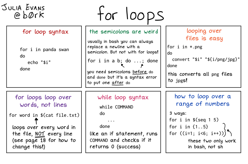 bash for loops