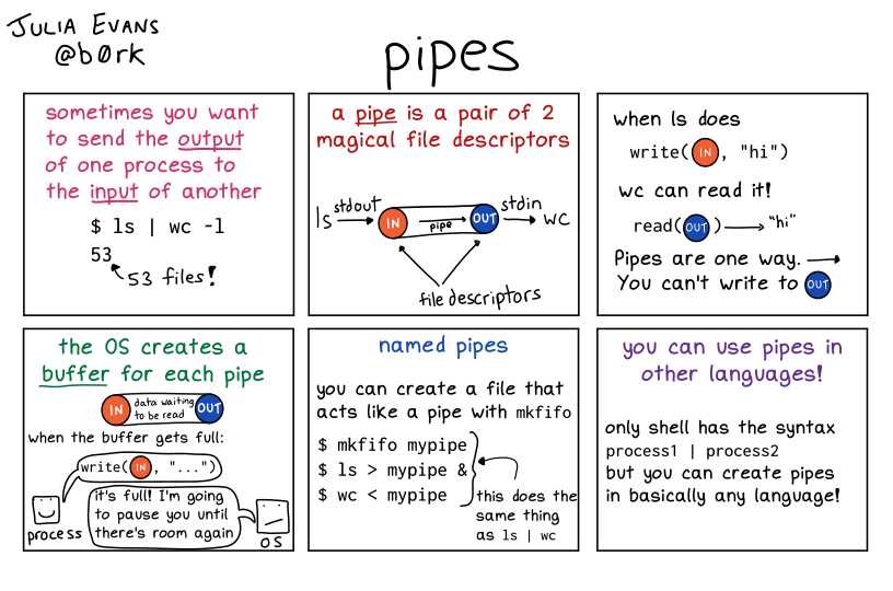 bash pipes