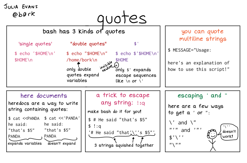 bash quotes