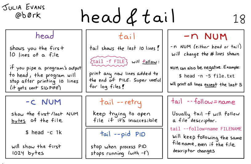 head&tail