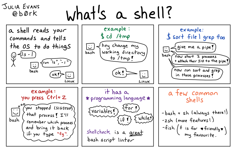 What's a shell