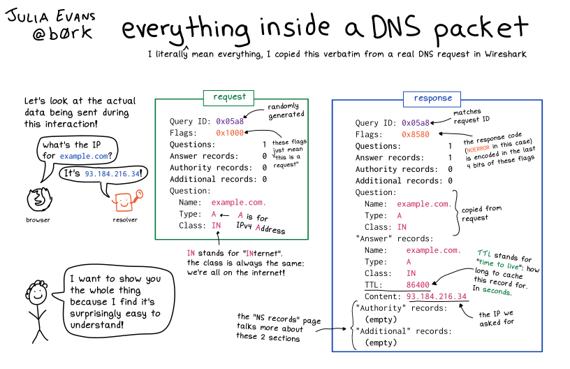 Zine showing annotated DNS request & response